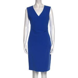 Diane Von Furstenberg blue sheath dress with ruched side detail